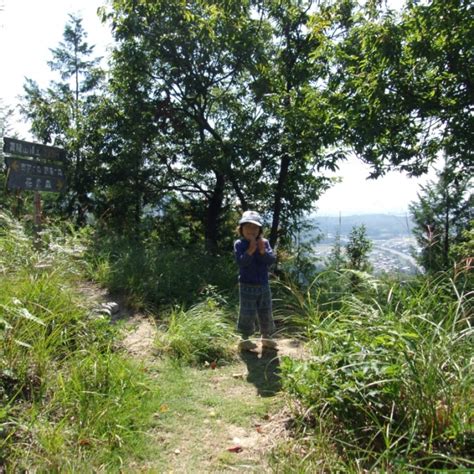 青龍山|青龍山｜最新の山行記録と登山ルートやアクセス、気 